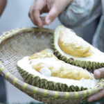 Masyarakat Antusias Ikuti Bazar Cumasi, Varietas Lokal yang Diakui Nasional
