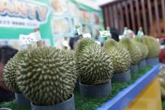 IMG-20260706-WA0004