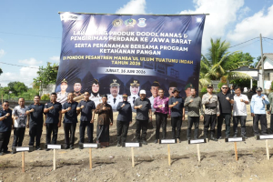 Dodol Nanas Tuatunu Rambah Pasar Nasional